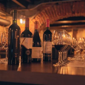 EXPERIENCIA VINO 360 UY + Degustación 4 Bodegas + 4 empanadas para almuerzo